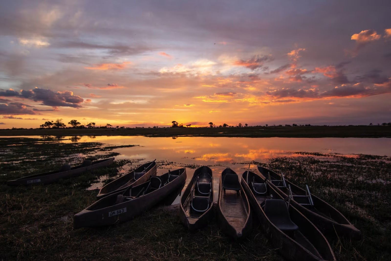 Gallery of images of eagle island lodge and the okavango delta